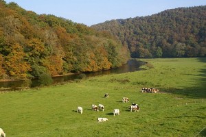 101o2007_bouillon-corbion-be-5-022