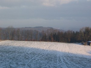 neige-24-017